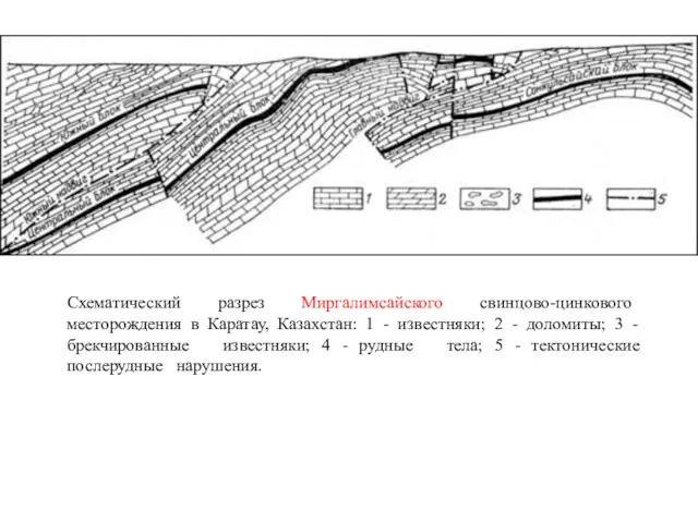 Схематический разрез Миргалимсайского свинцово-цинкового месторождения в Каратау, Казахстан: 1 -