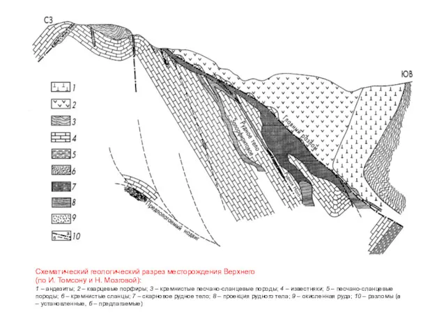 Схематический геологический разрез месторождения Верхнего (по И. Томсону и Н.