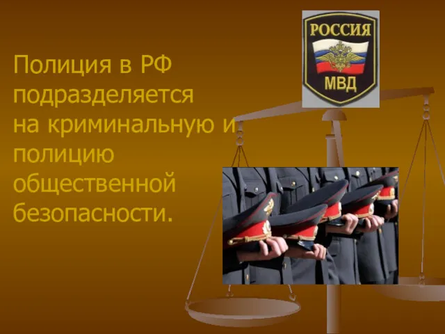 Полиция в РФ подразделяется на криминальную и полицию общественной безопасности.