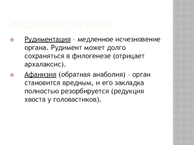 РЕДУКЦИЯ ОРГАНОВ Рудиментация – медленное исчезновение органа. Рудимент может долго