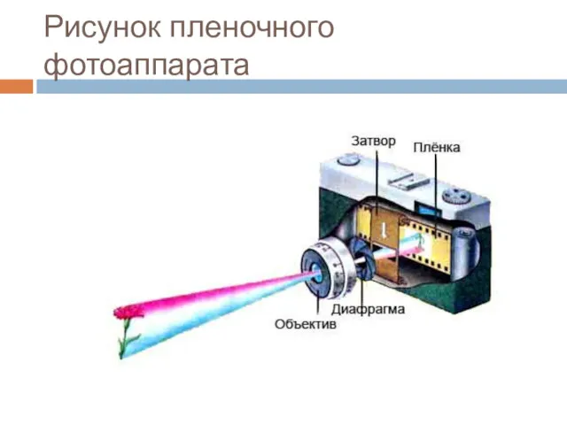 Рисунок пленочного фотоаппарата