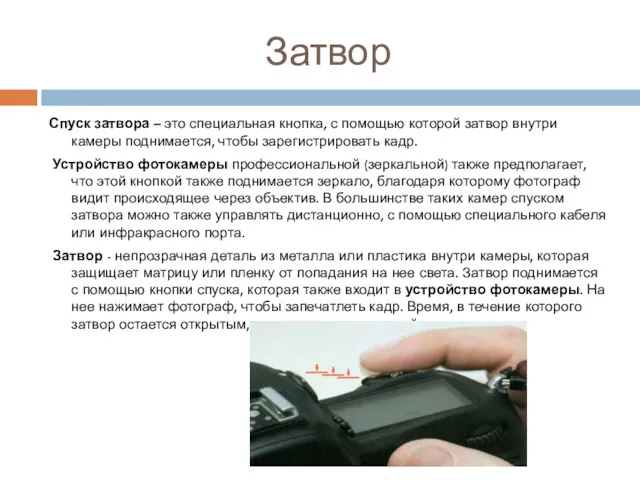 Затвор Спуск затвора – это специальная кнопка, с помощью которой