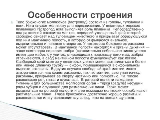 Тело брюхоногих моллюсков (гастропод) состоит из головы, туловища и ноги.