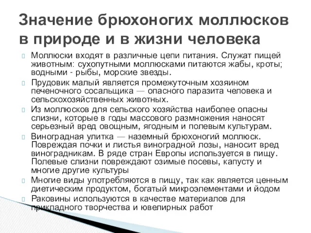 Моллюски входят в различные цепи питания. Служат пищей животным: сухопутными