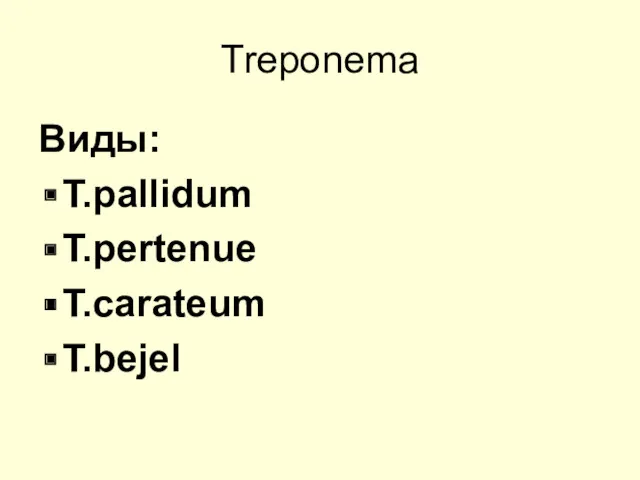 Treponema Виды: T.pallidum T.pertenue T.carateum T.bejel