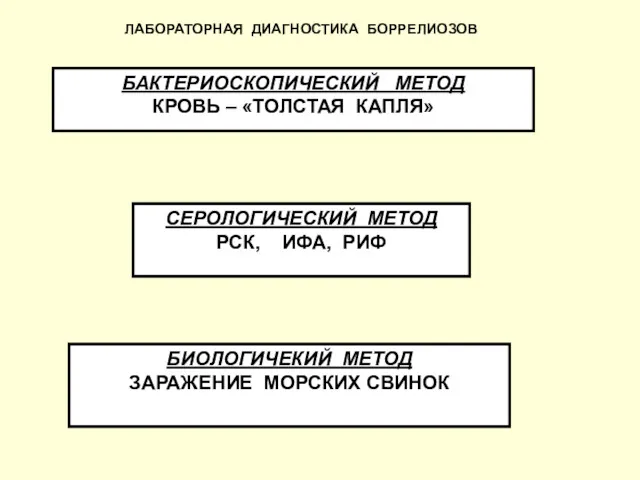 ЛАБОРАТОРНАЯ ДИАГНОСТИКА БОРРЕЛИОЗОВ