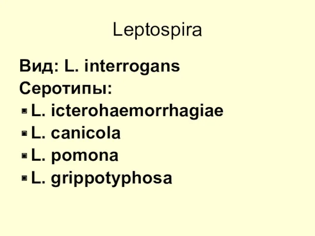 Leptospira Вид: L. interrogans Серотипы: L. icterohaemorrhagiae L. canicola L. pomona L. grippotyphosa