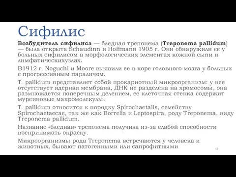 Сифилис Возбудитель сифилиса — бледная трепонема (Treponema pallidum) — была