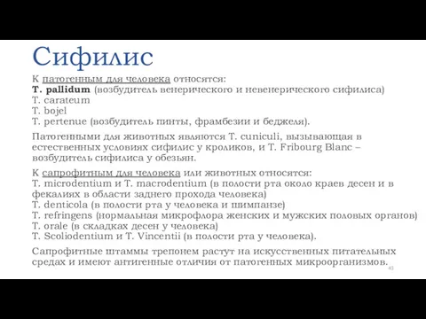 Сифилис К патогенным для человека относятся: T. pallidum (возбудитель венерического