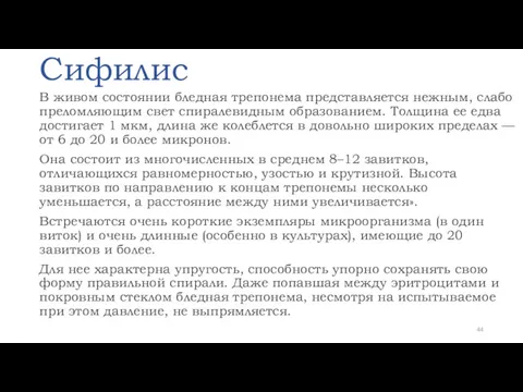 Сифилис В живом состоянии бледная трепонема представляется нежным, слабо преломляющим