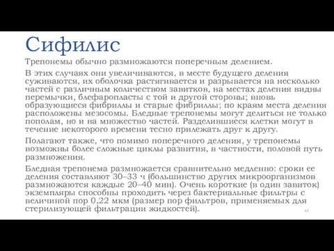 Сифилис Трепонемы обычно размножаются поперечным делением. В этих случаях они