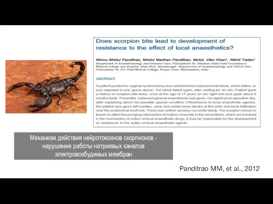 Panditrao MM, et al., 2012 Механизм действия нейротоксинов скорпионов - нарушение работы натриевых каналов электровозбудимых мембран