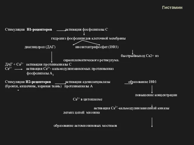 Стимуляция Н1-рецепторов активация фосфолипазы С гидролиз фосфолипидов клеточной мембраны диаглицерол