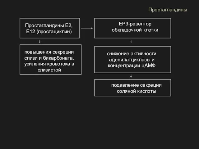 Простагландины Простагландины Е2, Е12 (простациклин) ЕР3-рецептор обкладочной клетки снижение активности