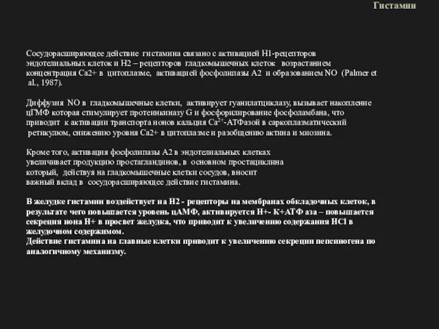 Гистамин Сосудорасширяющее действие гистамина связано с активацией Н1-рецепторов эндотелиальных клеток