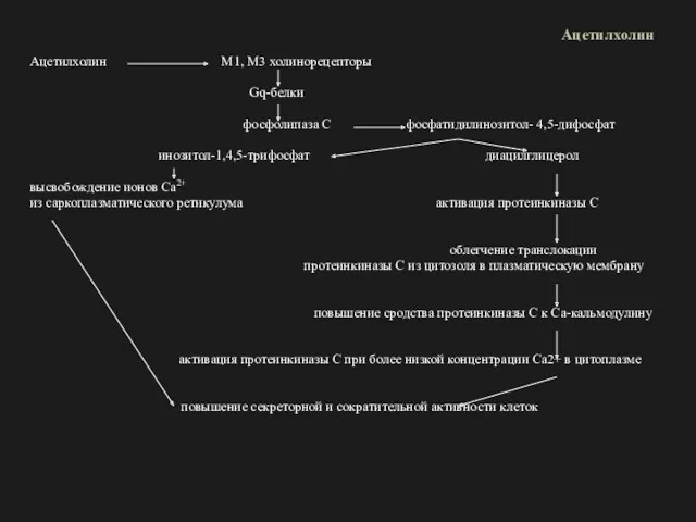 Ацетилхолин Ацетилхолин М1, М3 холинорецепторы Gq-белки фосфолипаза С фосфатидилинозитол- 4,5-дифосфат