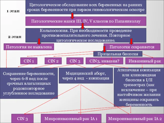 Цитологическое обследование всех беременных на ранних сроках беременности при первом гинекологическом осмотре Патологические