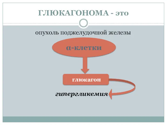 ГЛЮКАГОНОМА - это опухоль поджелудочной железы гипергликемия α-клетки глюкагон