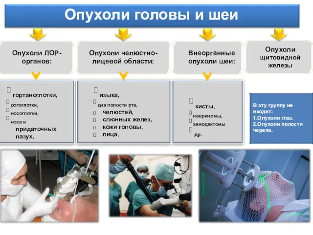 Опухоли головы и шеи Опухоли щитовидной железы В эту группу