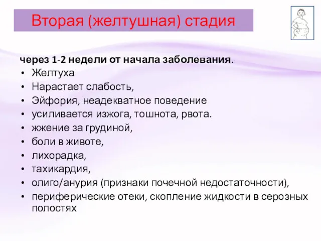 Вторая (желтушная) стадия через 1-2 недели от начала заболевания. Желтуха Нарастает слабость, Эйфория,