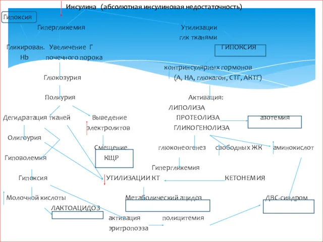 Инсулина (абсолютная инсулиновая недостаточность) Гипоксия Гипергликемия Утилизации глк тканями Гликирован.