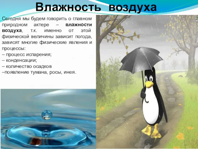 Сегодня мы будем говорить о главном природном актере – влажности