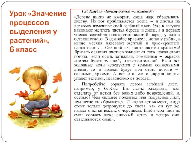 Урок «Значение процессов выделения у растений», 6 класс Г.Р. Граубин