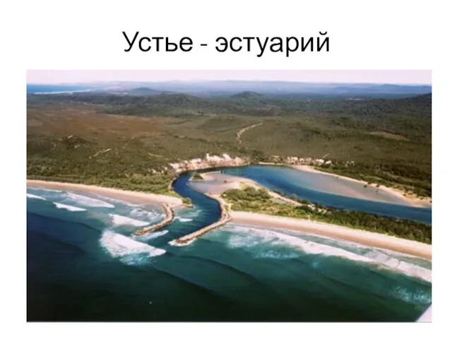 Устье - эстуарий