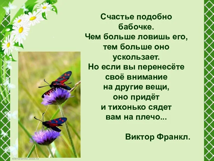 Счастье подобно бабочке. Чем больше ловишь его, тем больше оно