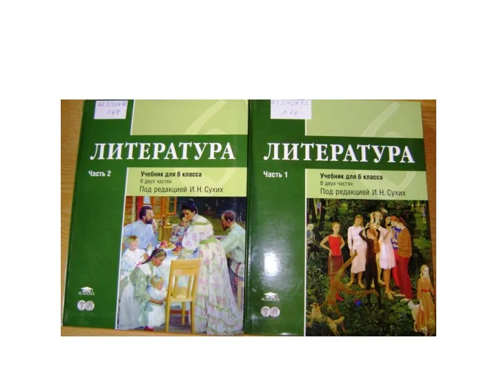 Рыжкова Т.В., Костюхина М.С., Вирина Г.Л. и др. / Под ред. Сухих И.Н. Литература 6 Академия