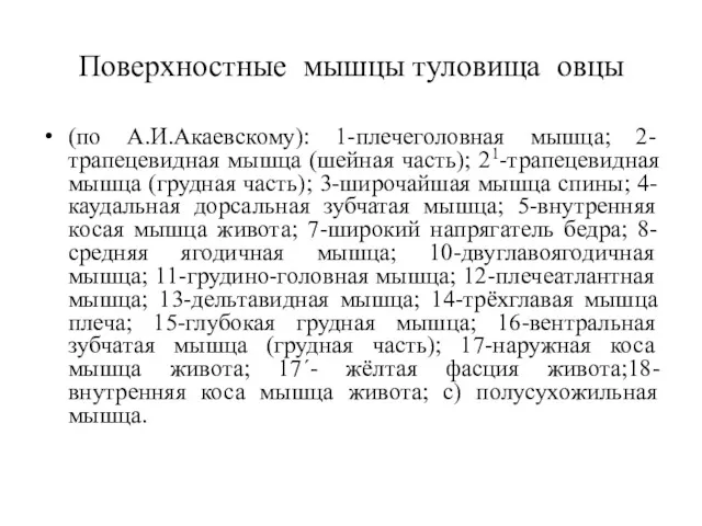 Поверхностные мышцы туловища овцы (по А.И.Акаевскому): 1-плечеголовная мышца; 2-трапецевидная мышца