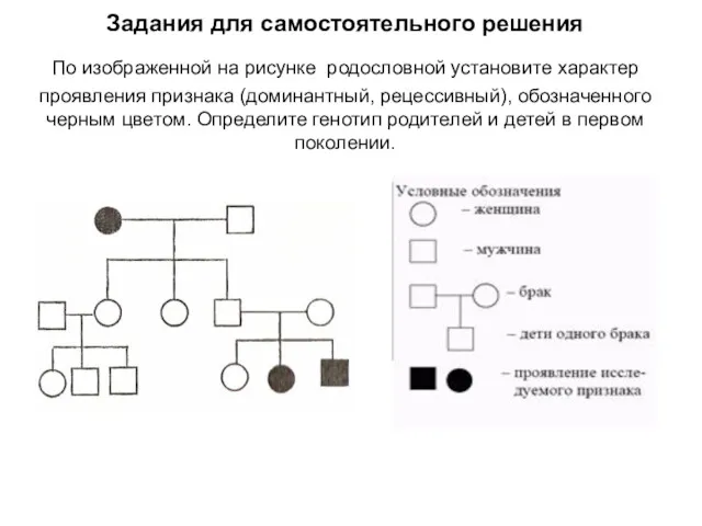 Задания для самостоятельного решения По изображенной на рисунке родословной установите