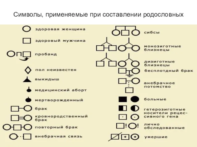 Символы, применяемые при составлении родословных