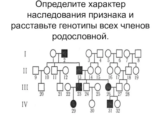 Определите характер наследования признака и расставьте генотипы всех членов родословной.