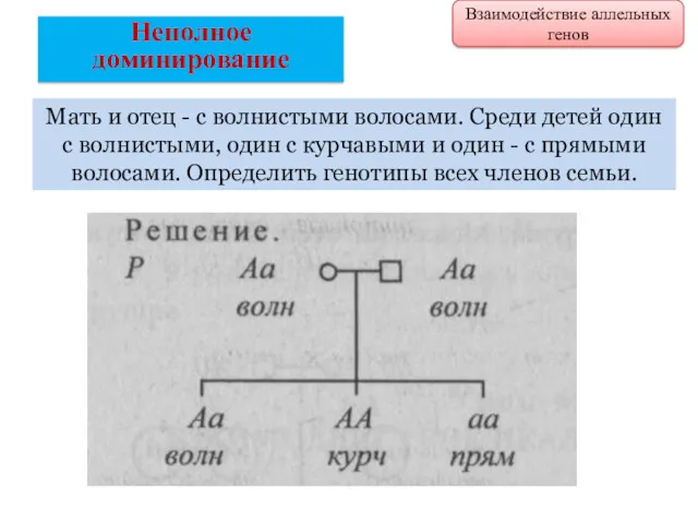 Мать и отец - с волнистыми волосами. Среди детей один