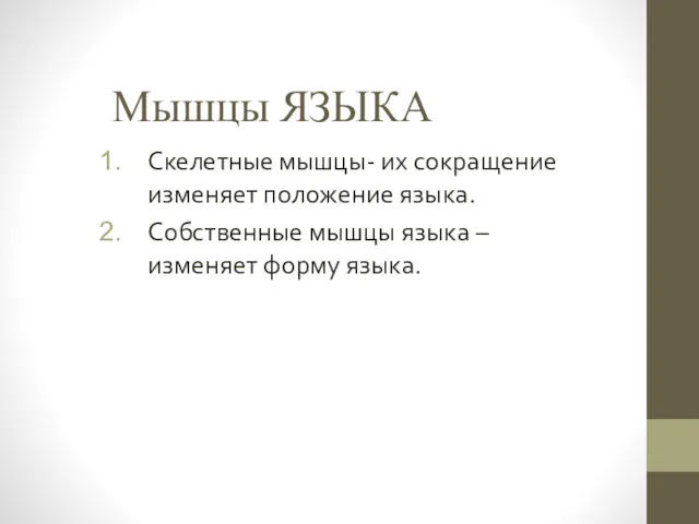 Мышцы ЯЗЫКА Скелетные мышцы- их сокращение изменяет положение языка. Собственные мышцы языка – изменяет форму языка.