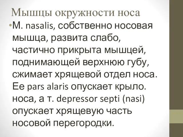 Мышцы окружности носа М. nasalis, собственно носовая мышца, развита слабо,