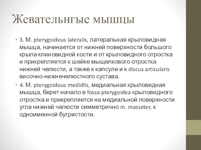 Жевательнгые мышцы 3. М. pterygoideus lateralis, латеральная крыловидная мышца, начинается