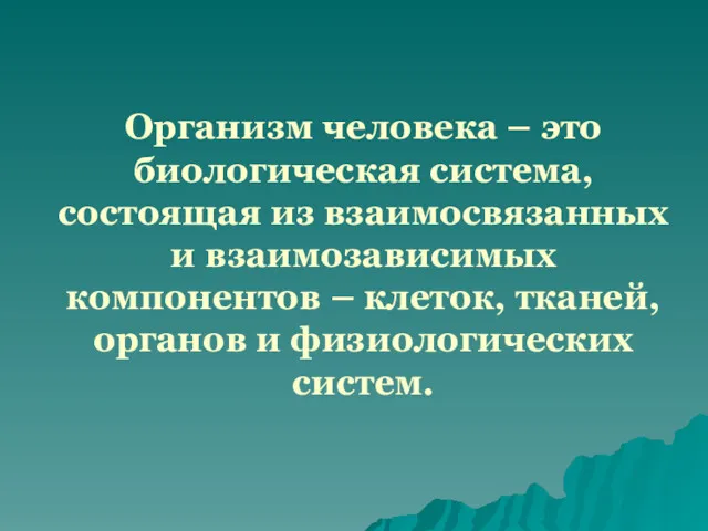 Организм человека – это биологическая система, состоящая из взаимосвязанных и