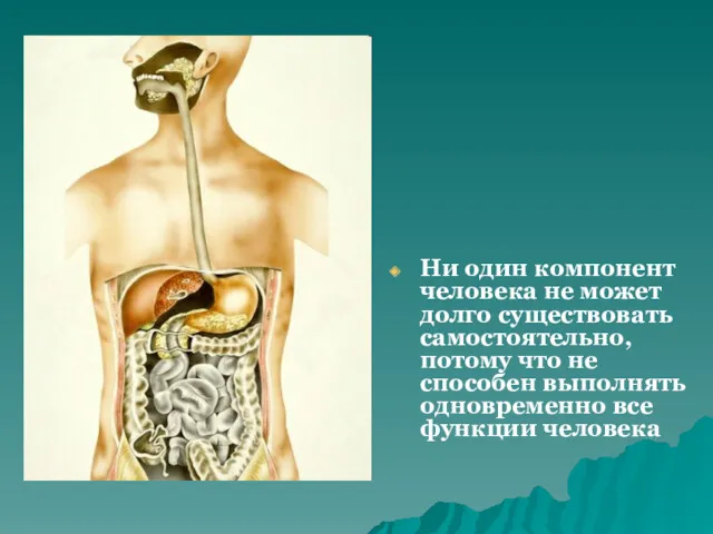 Ни один компонент человека не может долго существовать самостоятельно, потому