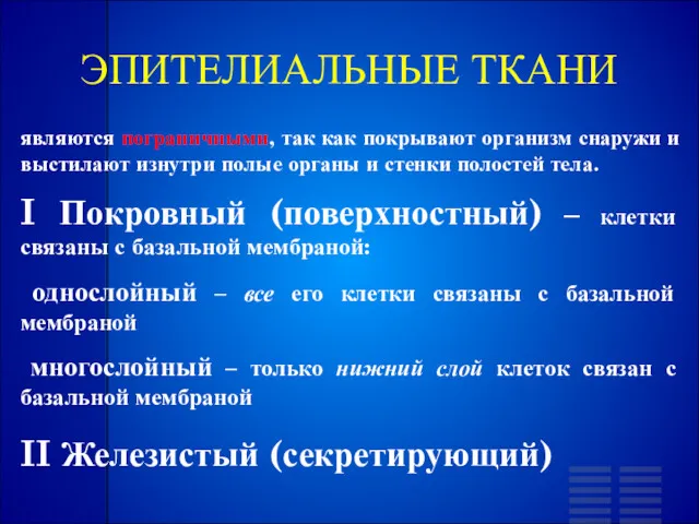 ЭПИТЕЛИАЛЬНЫЕ ТКАНИ являются пограничными, так как покрывают организм снаружи и