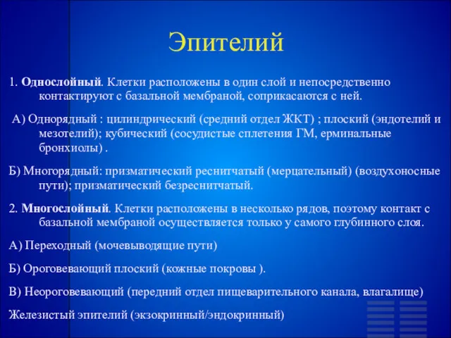 Эпителий 1. Однослойный. Клетки расположены в один слой и непосредственно