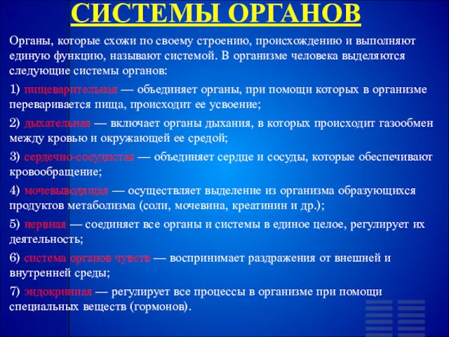 СИСТЕМЫ ОРГАНОВ Органы, которые схожи по своему строению, происхождению и