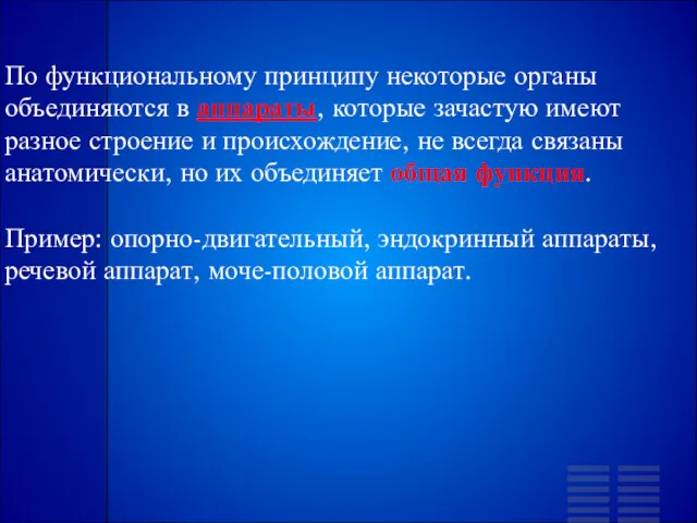 По функциональному принципу некоторые органы объединяются в аппараты, которые зачастую