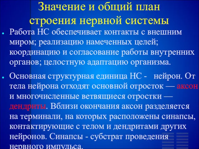 Значение и общий план строения нервной системы Работа НС обеспечивает