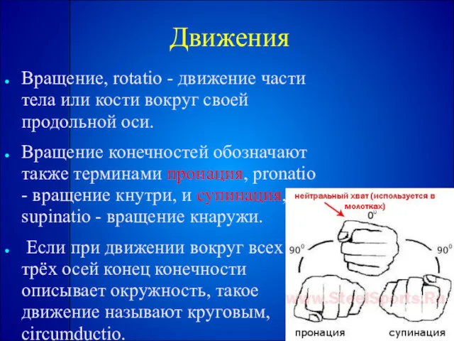 Движения Вращение, rotatio - движение части тела или кости вокруг