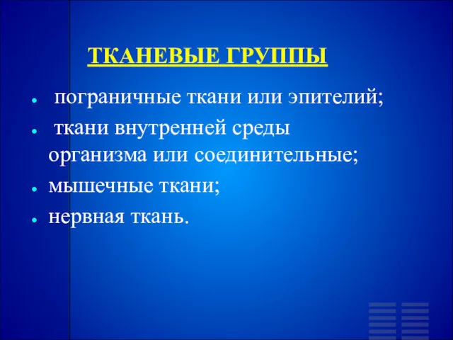 ТКАНЕВЫЕ ГРУППЫ пограничные ткани или эпителий; ткани внутренней среды организма или соединительные; мышечные ткани; нервная ткань.