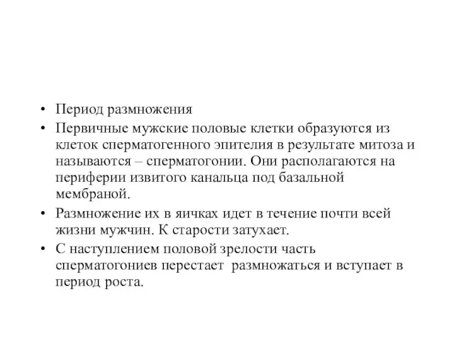 Период размножения Первичные мужские половые клетки образуются из клеток сперматогенного