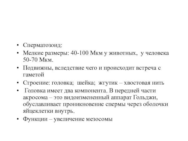 Сперматозоид: Мелкие размеры: 40-100 Мкм у животных, у человека 50-70