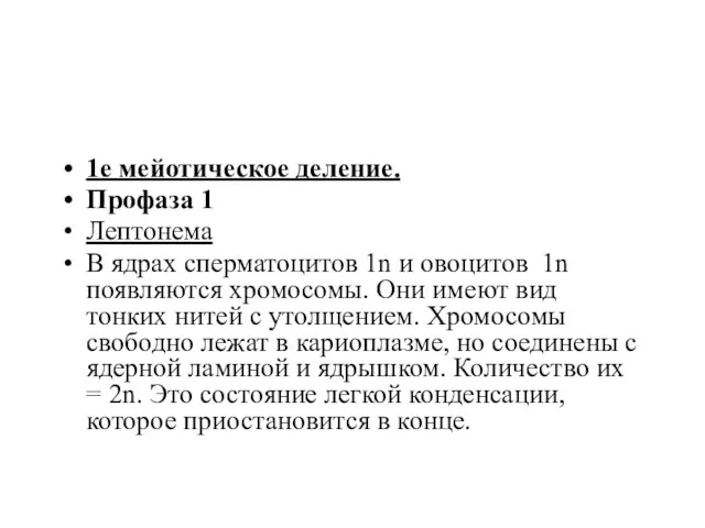 1е мейотическое деление. Профаза 1 Лептонема В ядрах сперматоцитов 1n